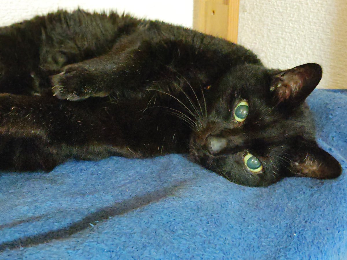 Simbamama tweet media