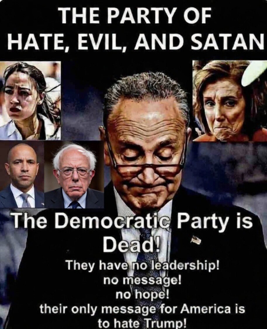 🐈i🇺🇸 tweet media