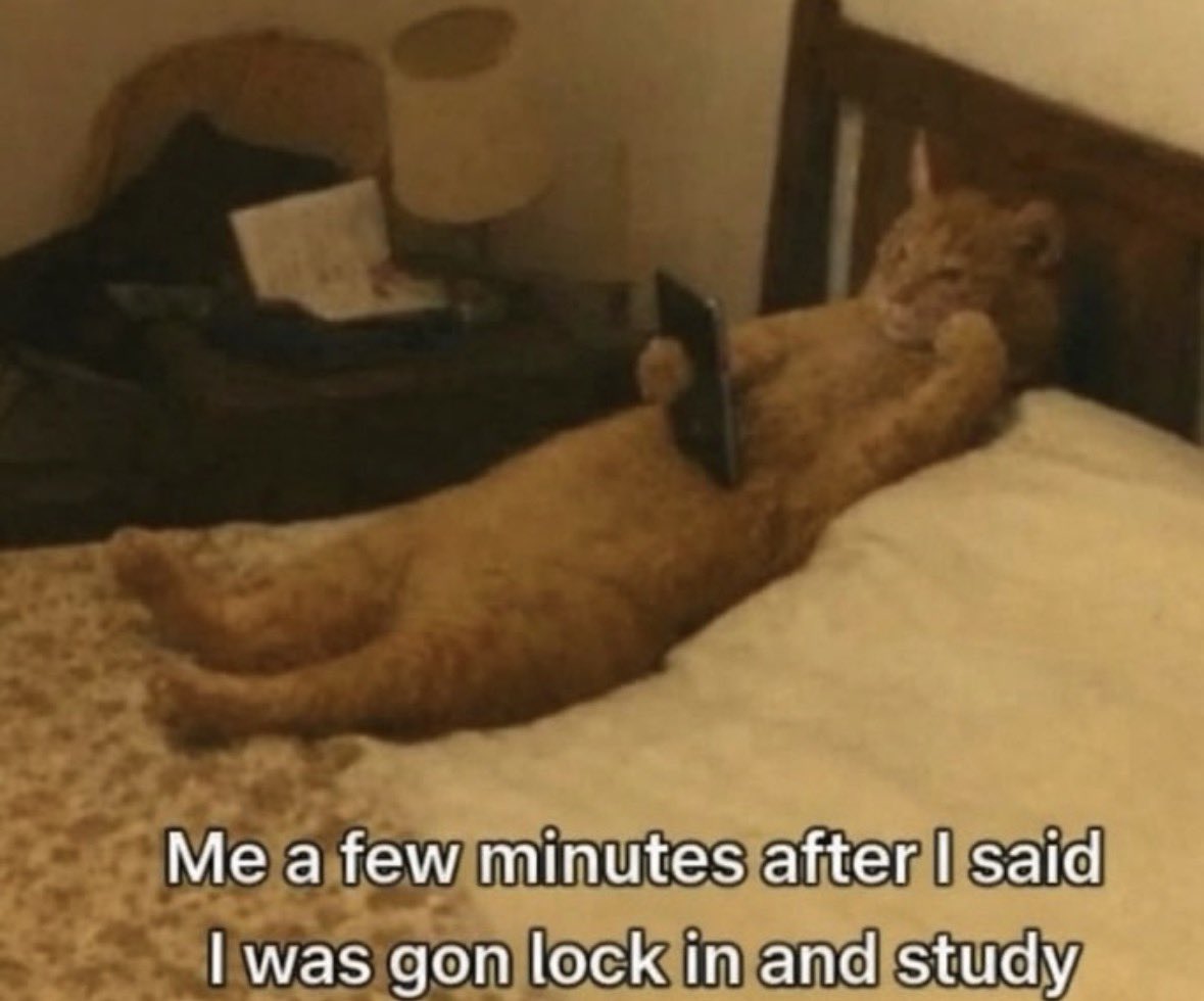 literallymecats's tweet photo. https://t.co/BoF82qtLtS