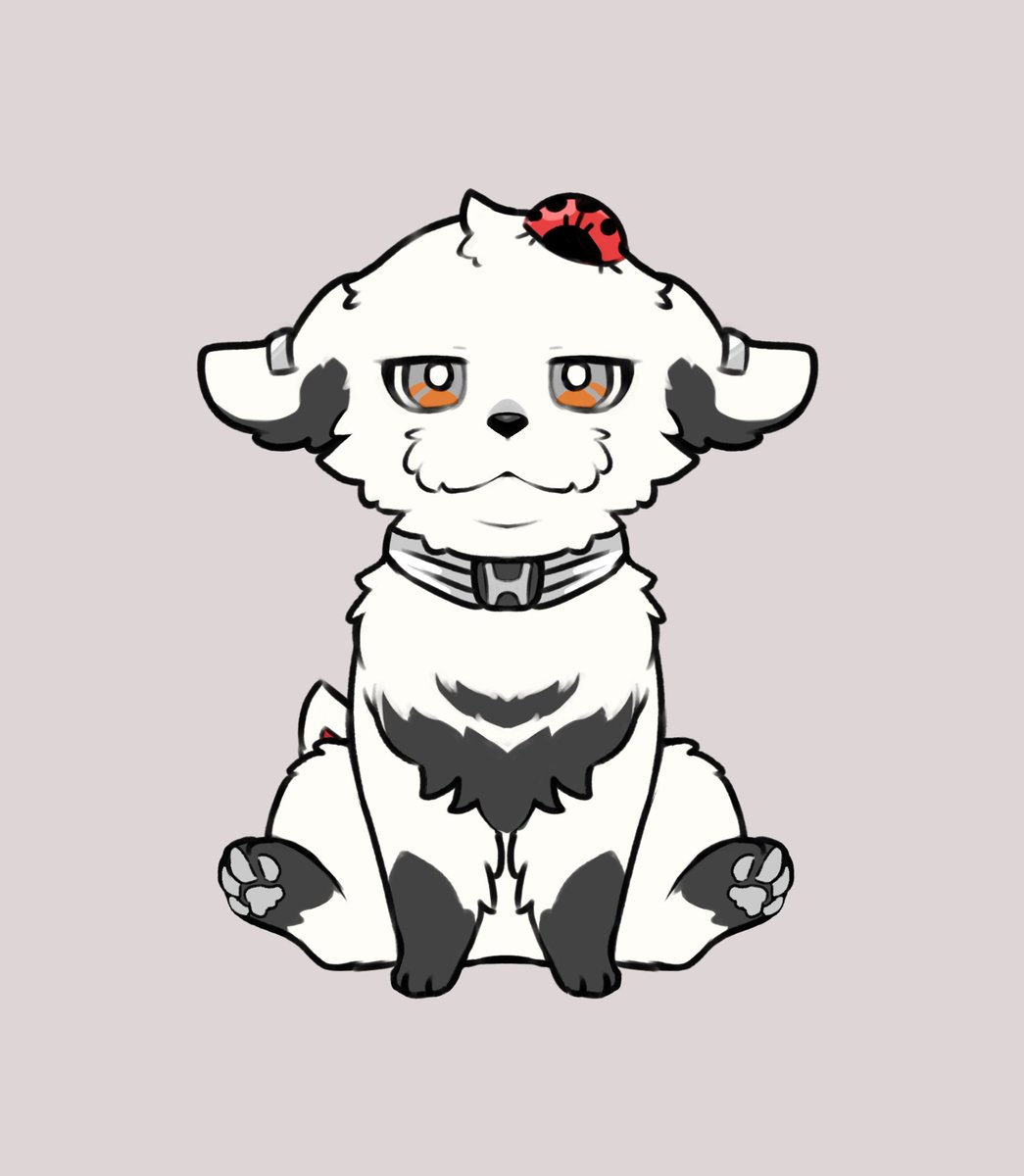 納車されたので犬に… 