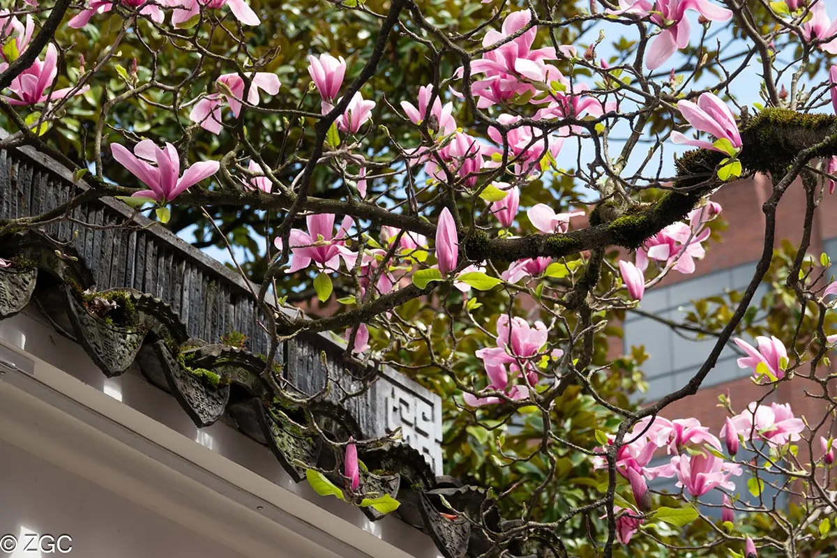 Governor Tina Kotek tweet media