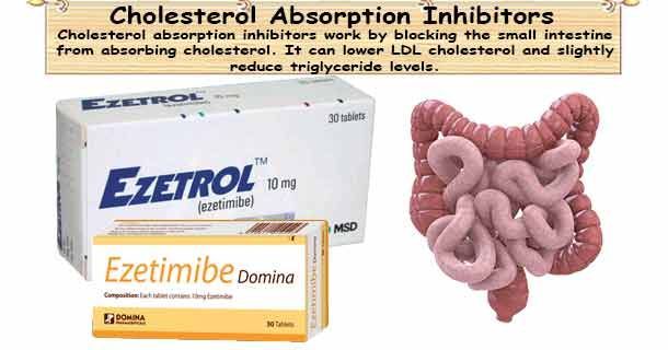 healthyojas's tweet image. Cholesterol Absorption Inhibitors High Cholesterol Medicine buff.ly/dnszkJI #Cholesterol #Medicine #CholesterolAbsorptionInhibitors