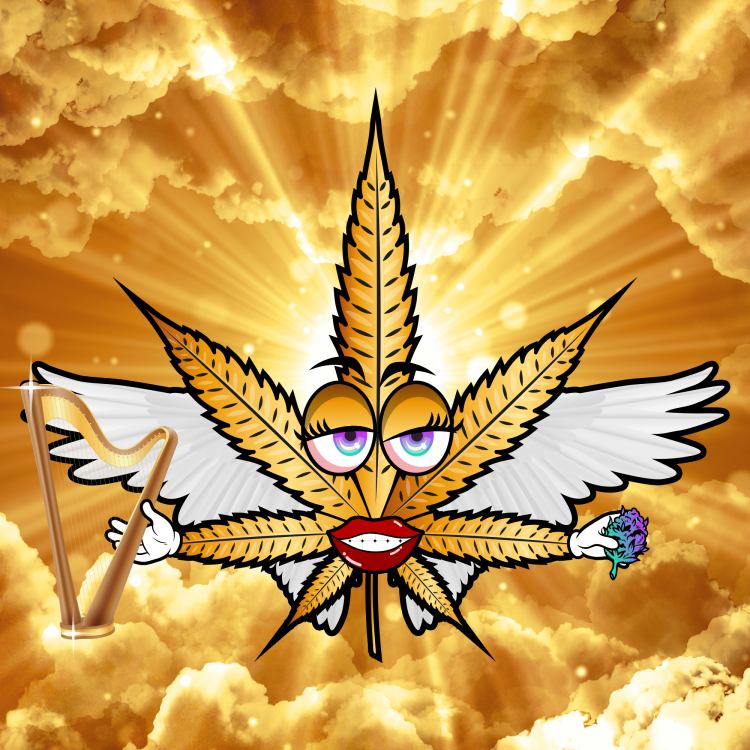 KryptoKronikz's tweet photo. HAPPY 4/20 FAM! 💚💛❤️

I was gonna post this earlier, but then I got high. 😁

Today is also our KWEENZ 4th B'day btw!! 🥳 So come join us in discord in 2hrs for a hang out sesh! 🤙 https://t.co/lT0LTQiT3a