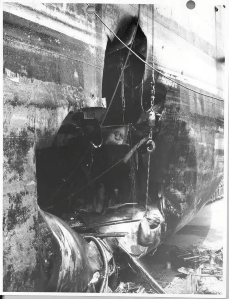 谣言终结者 tweet media