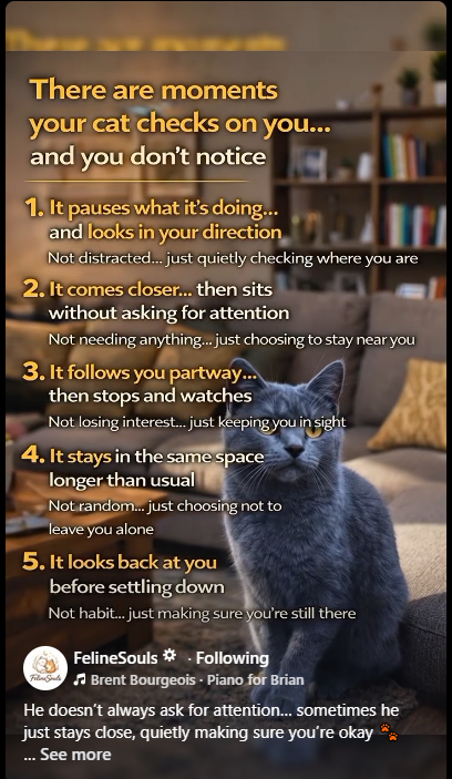 Greyman695 tweet media