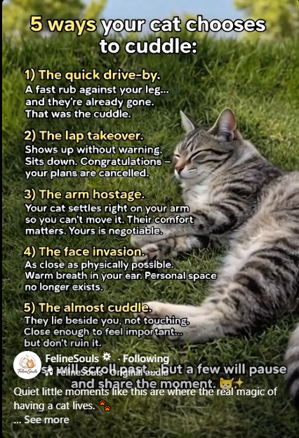 Greyman695 tweet media