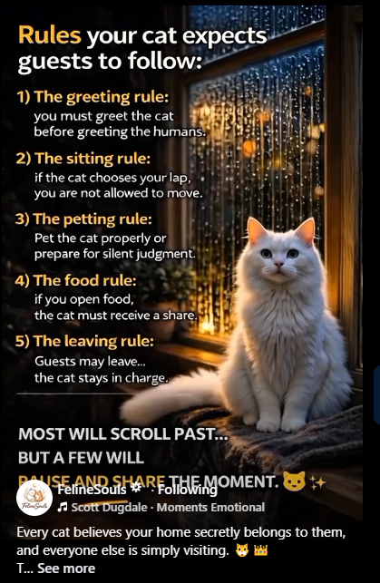 Greyman695 tweet media