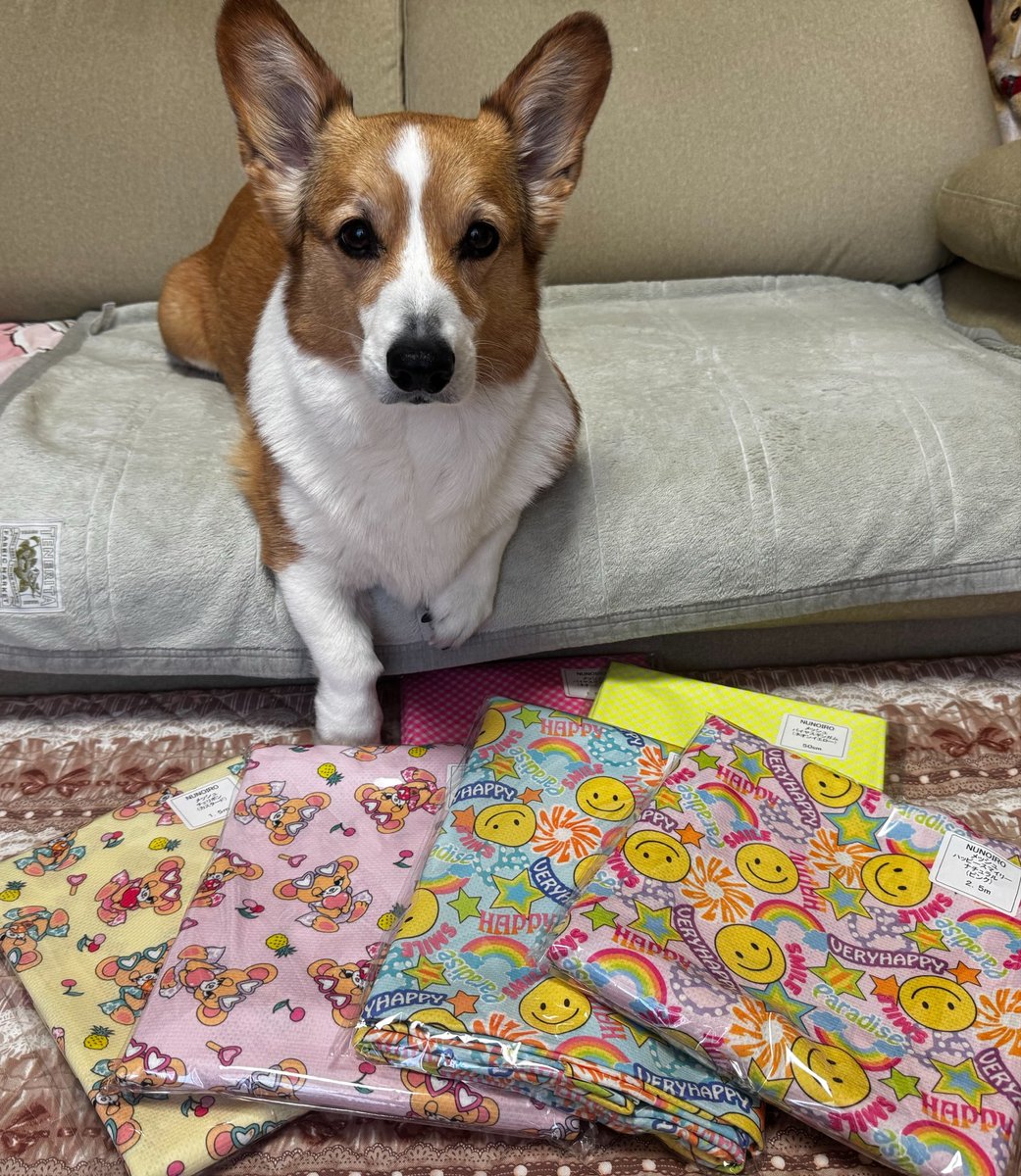 ＹＵＭＩＫＯ＆ＳＡＫＵＲＡ tweet media