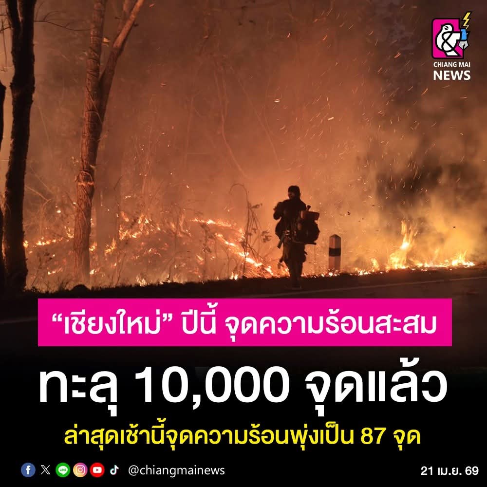 Chiang Mai News tweet media