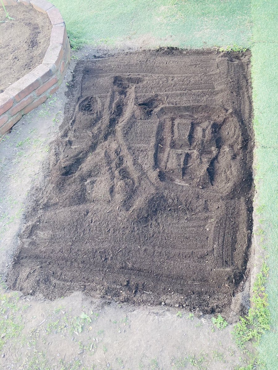 Gomitakashi tweet media