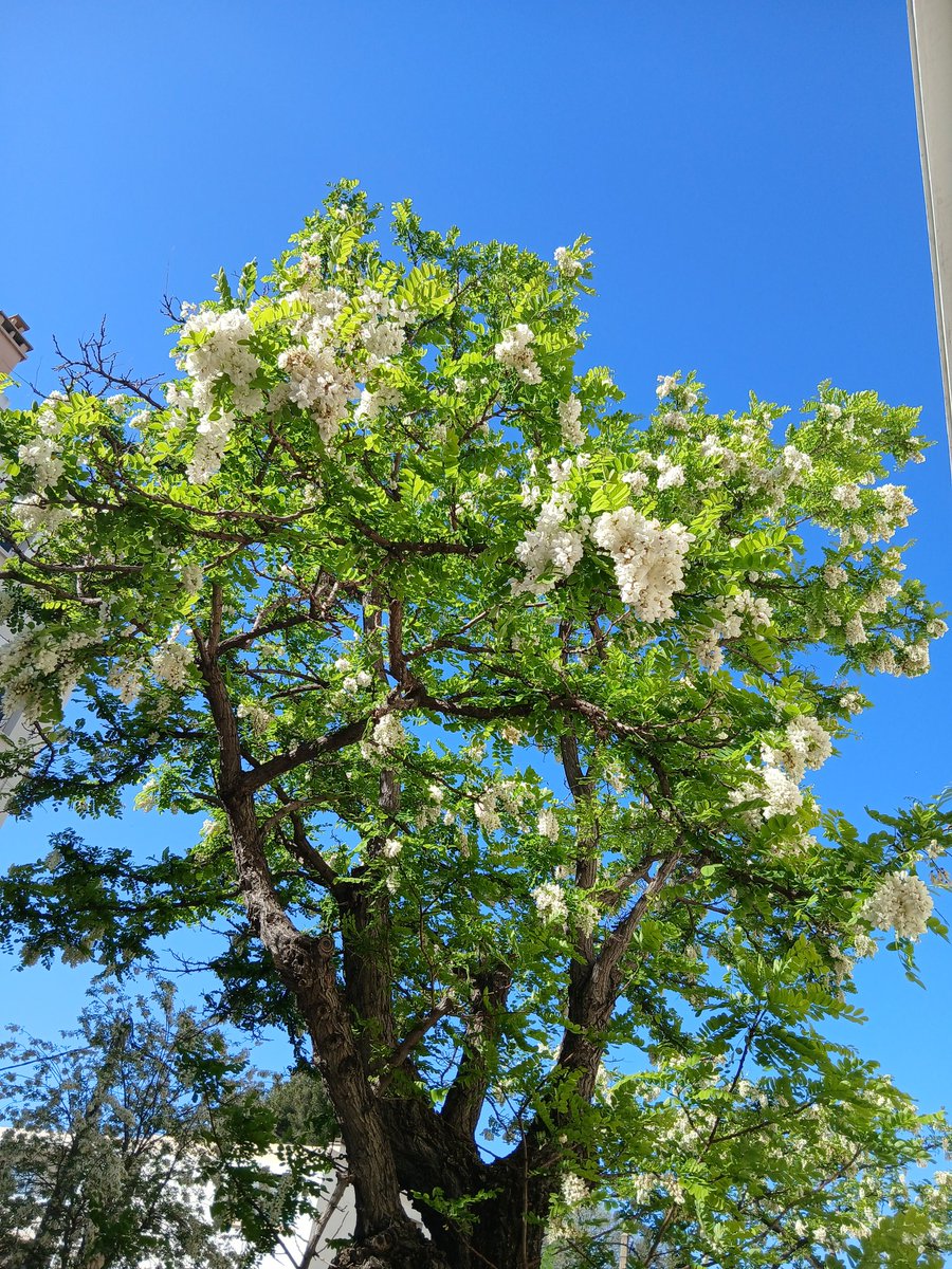 🐦🐟🐇🐮🐓🐞INDIOANA🇻🇪 🇵🇸🇫🇷🇷🇺 🇾🇪🇮🇷🇱🇧 tweet media