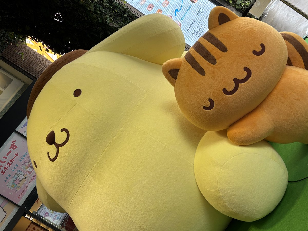 hengiri's tweet photo. プリンくんに会いに行ってきた！めちゃ可愛かったし、フォト印刷してきた！プリンくん喋ってて可愛かった。 https://t.co/JpY4vfhyW9