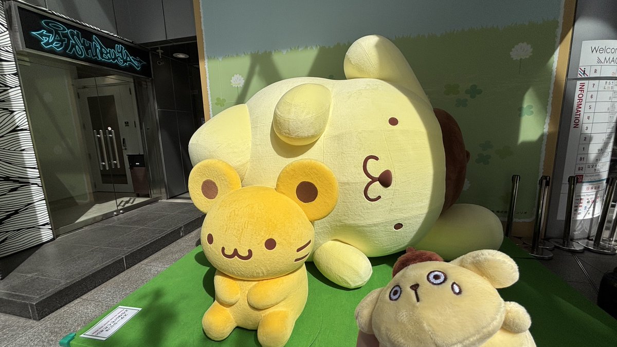 hengiri's tweet photo. プリンくんに会いに行ってきた！めちゃ可愛かったし、フォト印刷してきた！プリンくん喋ってて可愛かった。 https://t.co/JpY4vfhyW9