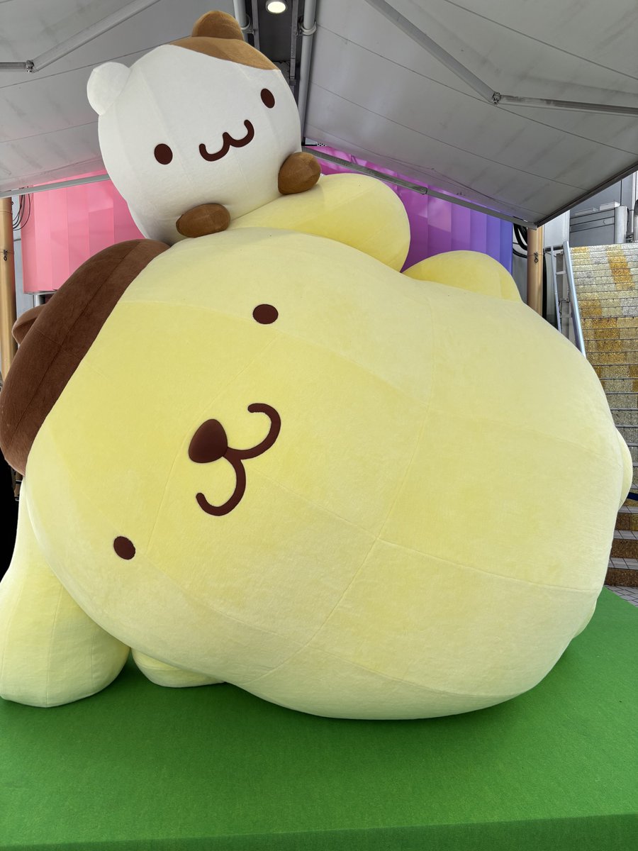 hengiri's tweet photo. プリンくんに会いに行ってきた！めちゃ可愛かったし、フォト印刷してきた！プリンくん喋ってて可愛かった。 https://t.co/JpY4vfhyW9