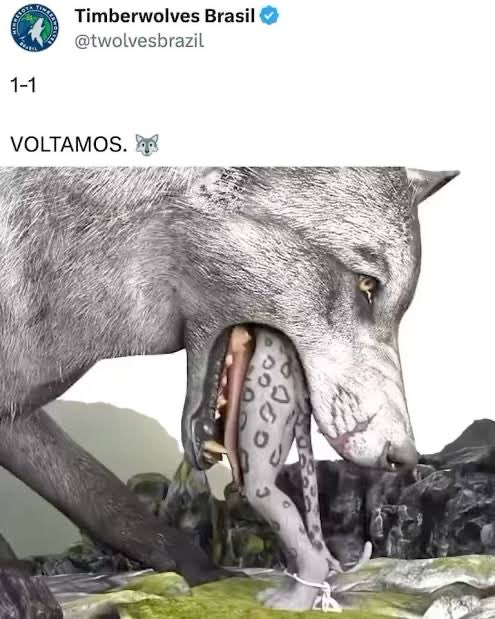 Brooklyn Guy tweet media