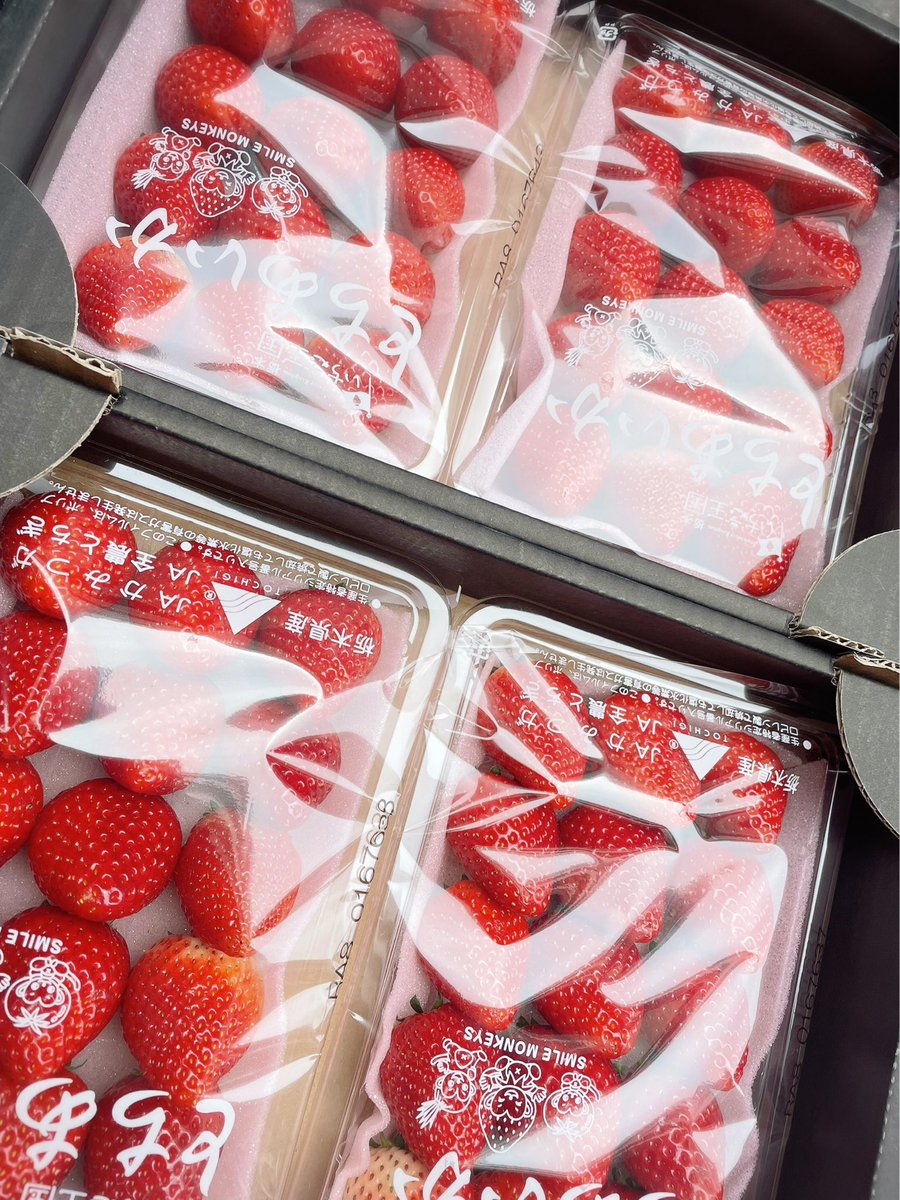 今日のフルーツ販売は٩( ˊᗜˋ*)و☀️ 🙌糖度、色味、形状、完熟宮崎