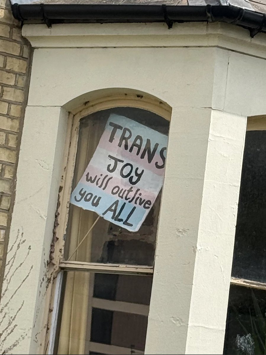 WillowTheFoxΘΔ🏳️‍⚧️🐾Pawbz are cute!🐾 tweet media