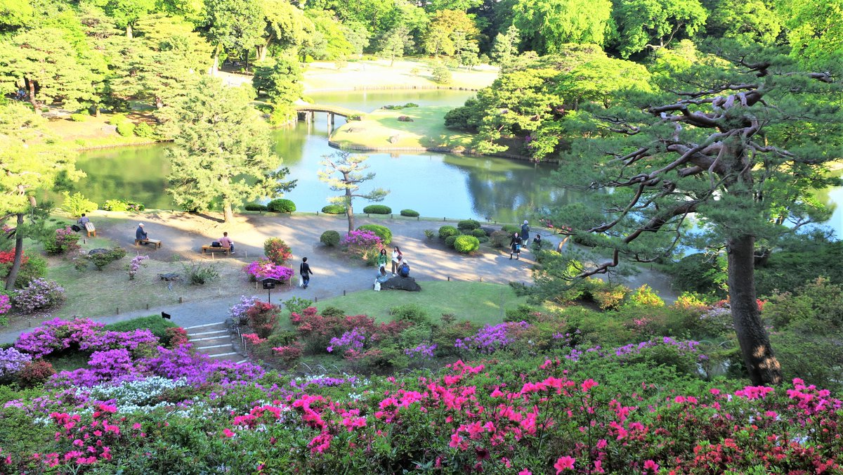 Tokyonobo tweet media