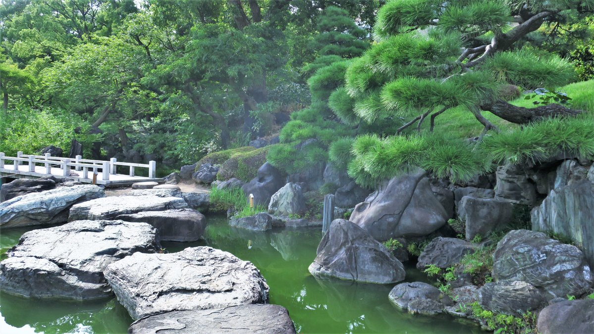 Tokyonobo tweet media