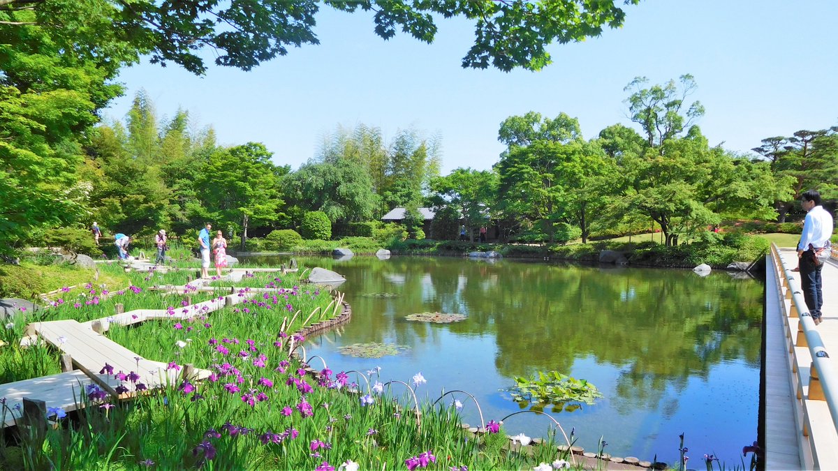 Tokyonobo tweet media