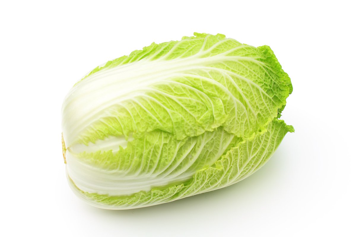 とーこ tweet media