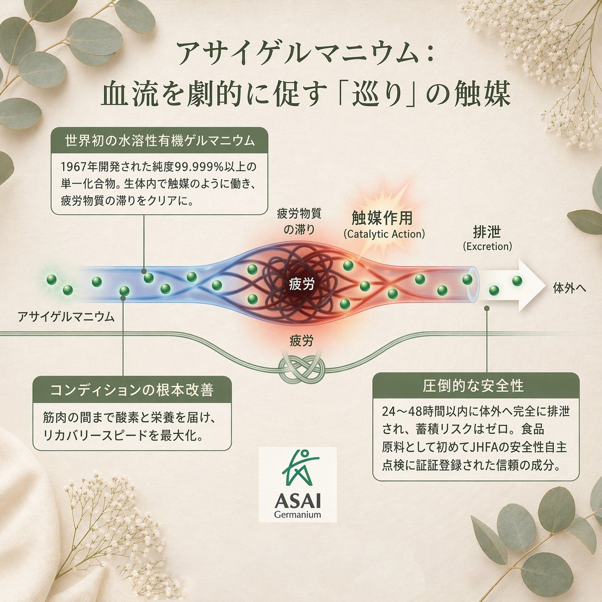 腱引療法 約束された奇跡の主義 DVD 奇跡の施術 腱引き療法