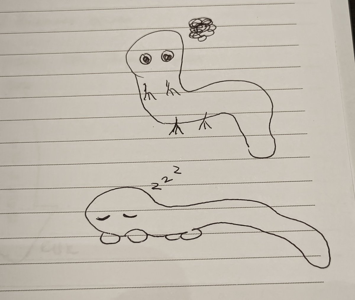 shiro 🍂 tweet media