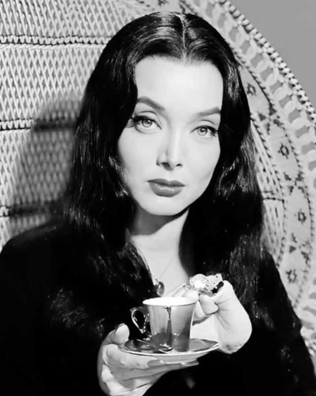 Vlinderstof tweet media