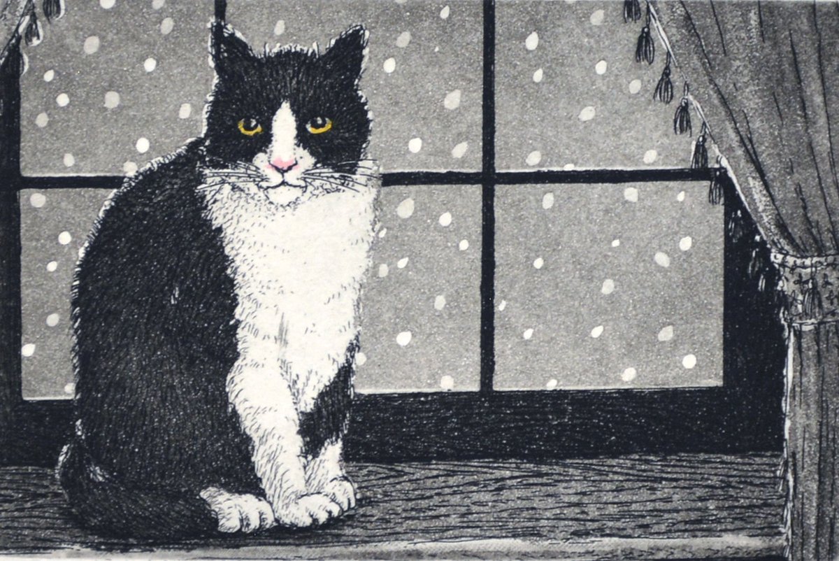 Eastern Woo 🇨🇦 tweet media