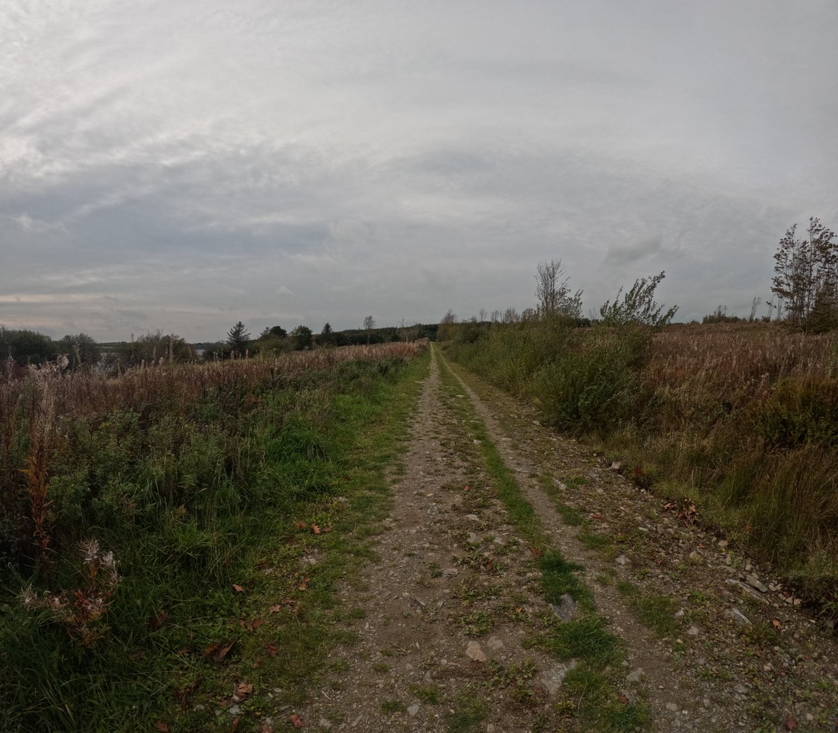NWalesWalkalong's tweet image. Hello everyone these are photos of the walk at Llangefni from October 2025 a nice flat walk allow around 4 hours to do this walk around the Reservoir! 

#northwaleswalkalong #anglesey