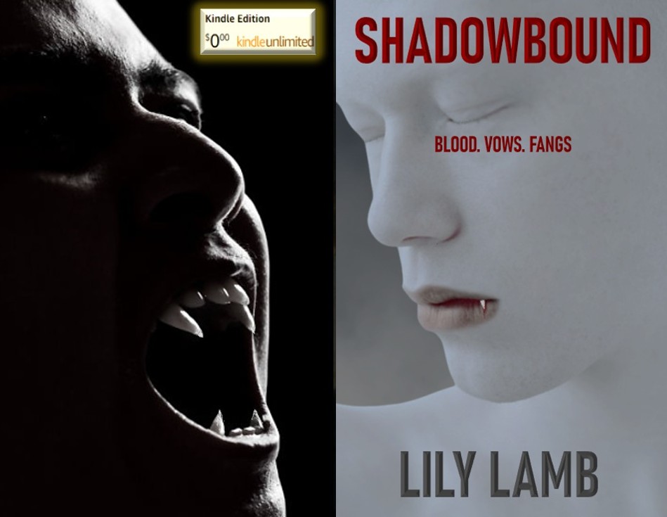 SheTwink's tweet image. mybook.to/matedwithavamp… 
“Omg this grumpy ancient vampire and sunshine human combo was everything I didn’t know I needed!”
#darkromancereads #romanticsuspense #mmbooks #romanticsuspensebooks #KindleUnlimited #shifters #monsterromance #vampirestories #vampireromance