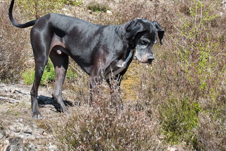 bill pearson (@billwpearson) / Posts / X