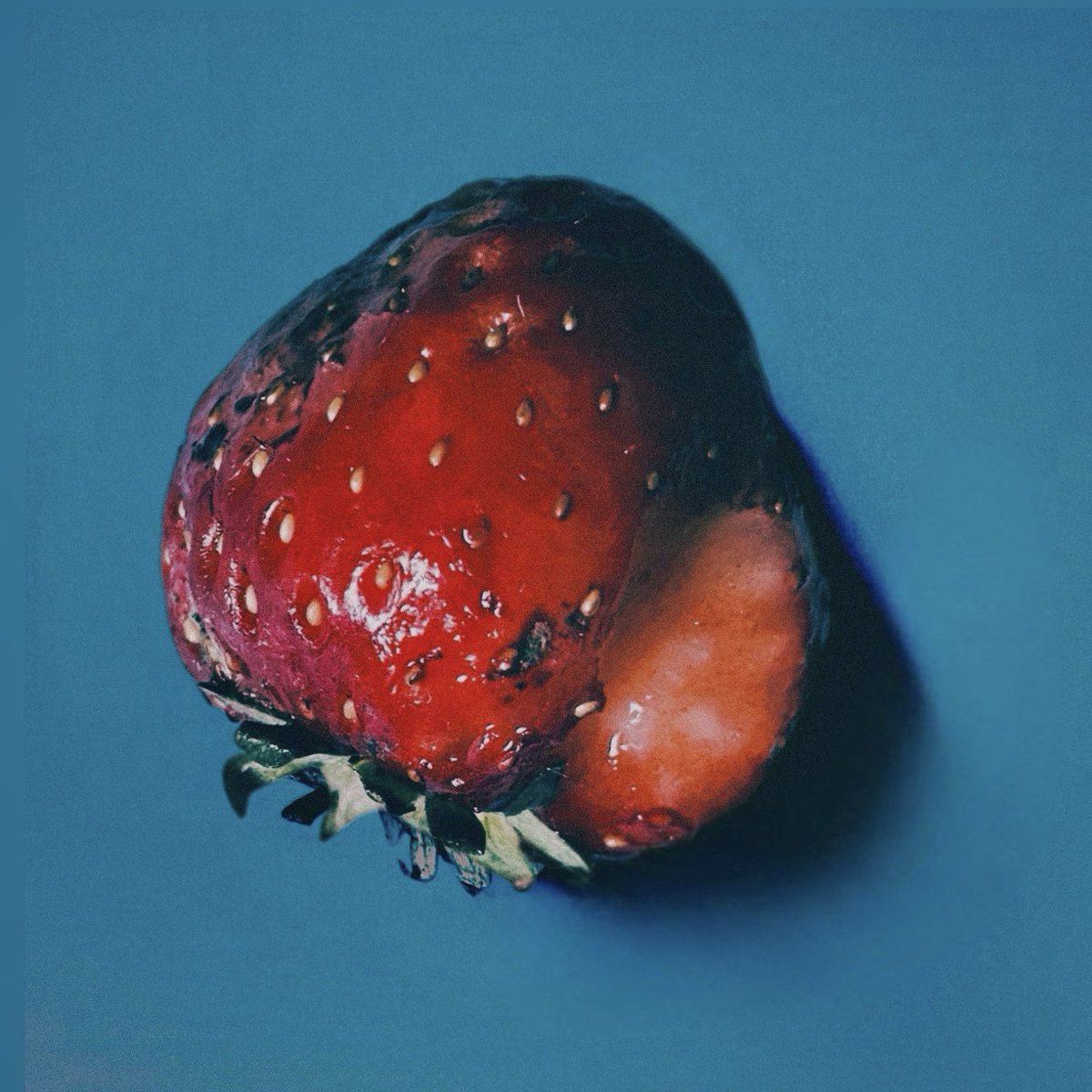 いちご🍓╰(*´︶`*)╯♡

＃さいごのいちご
＃アート好きな人と繋がりたい
＃写真好きな人と繋がりたい