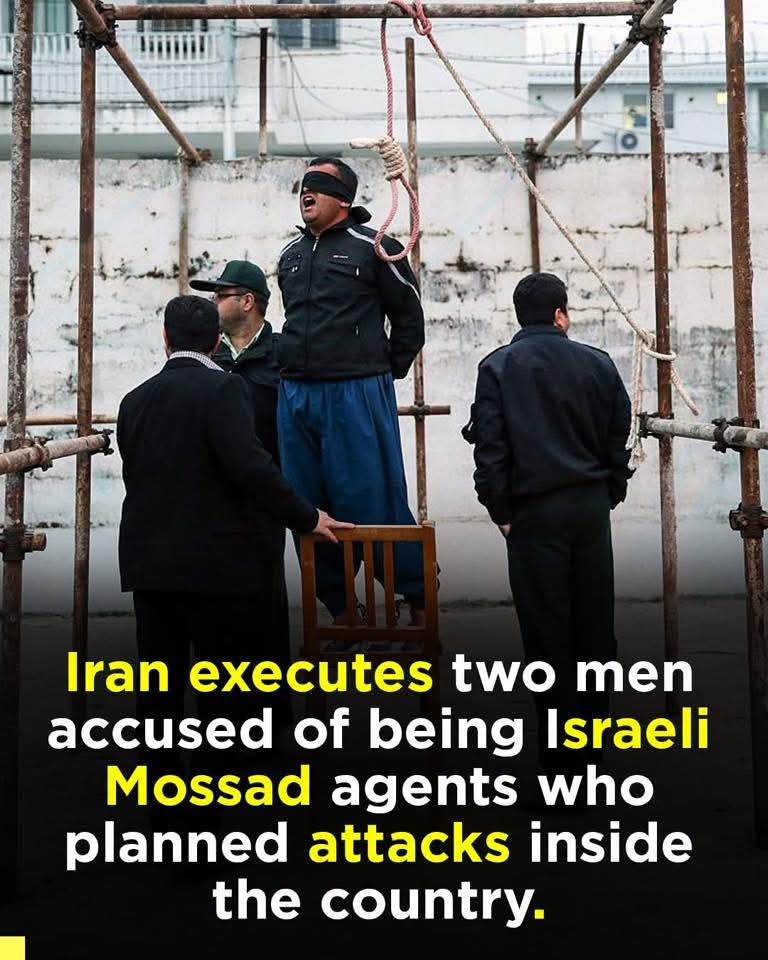 "Shit! We can't roam freely here like in the West"