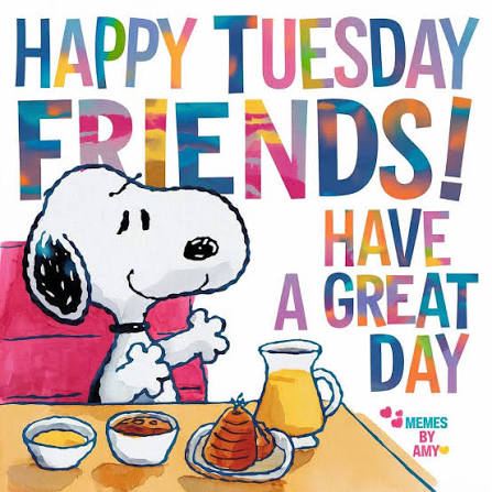 💜Amy 💜 tweet media