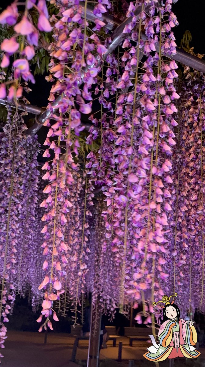 岡崎城の守り神 竜神ちゃん tweet media