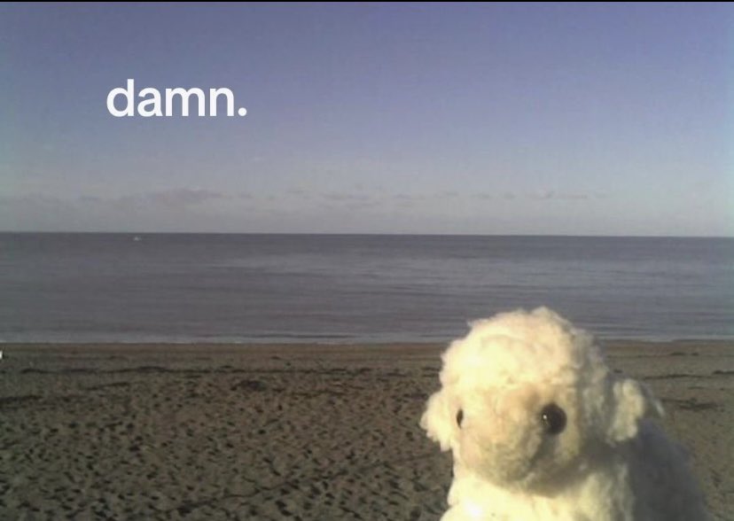 chxrryy☆ tweet media