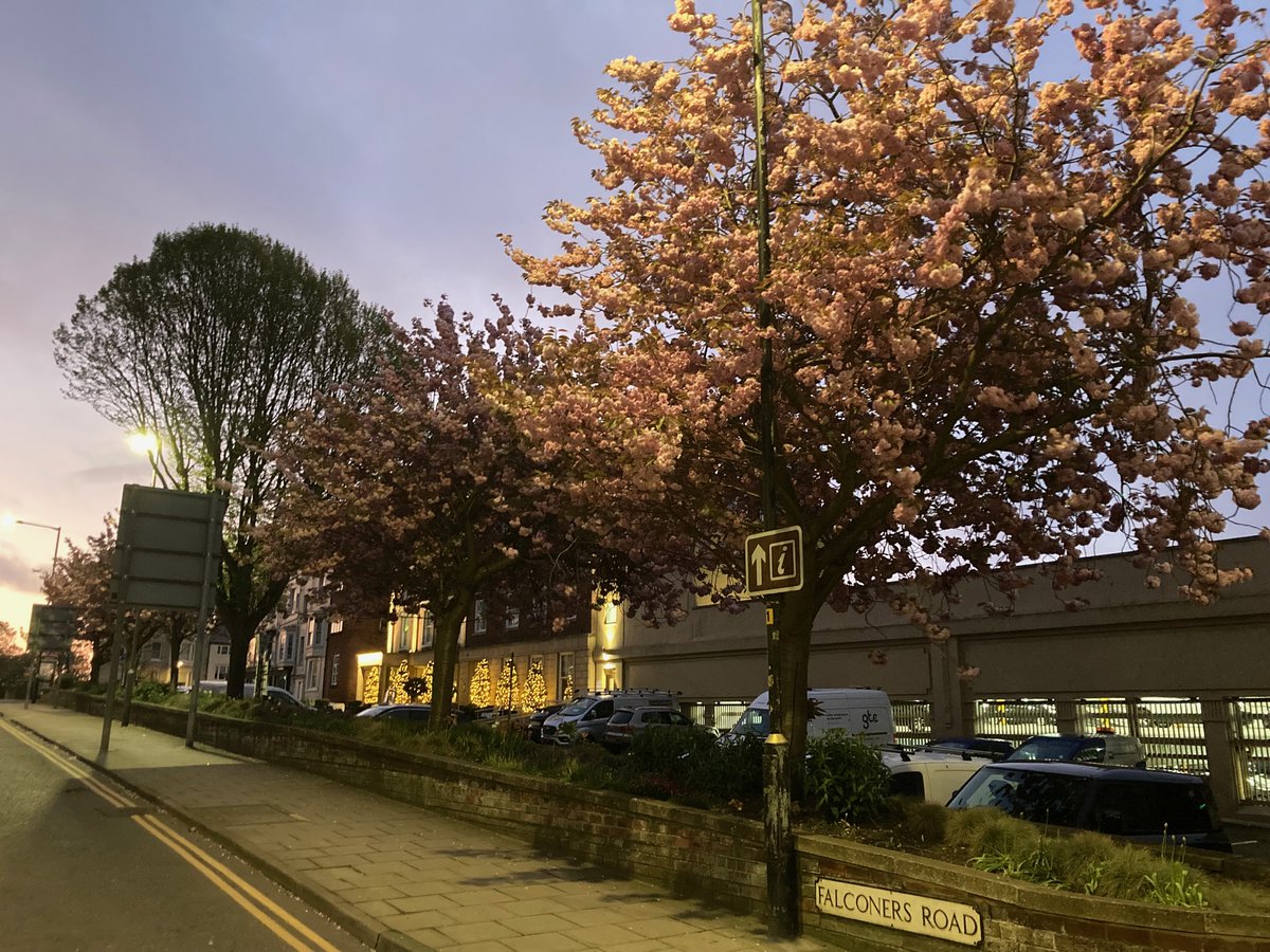 FYoungWriter's tweet image. #Tuesday #Scarborough #sunrise 🌅Up long before the sun today 🍃cold wind, a bit of cloud ☁️ have a good day, everybody 🌅