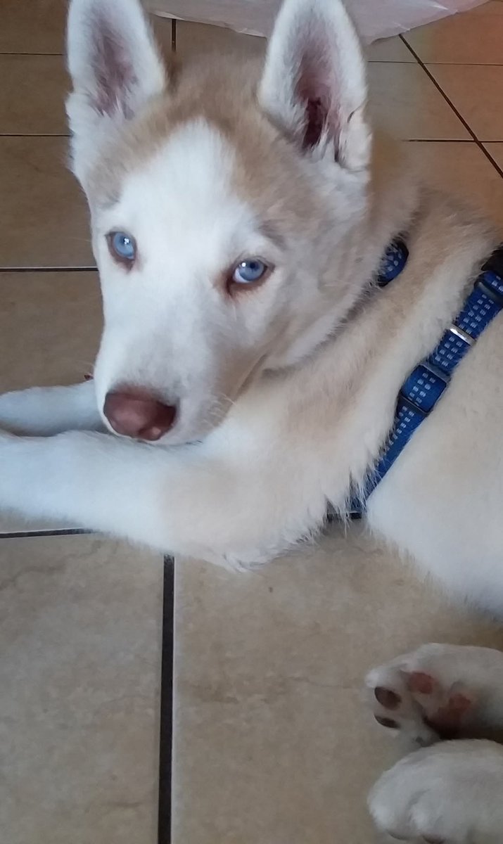 Patrizia💙 tweet media