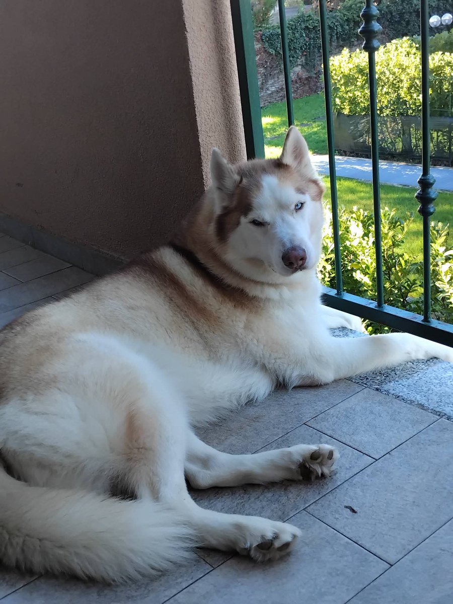 Patrizia💙 tweet media