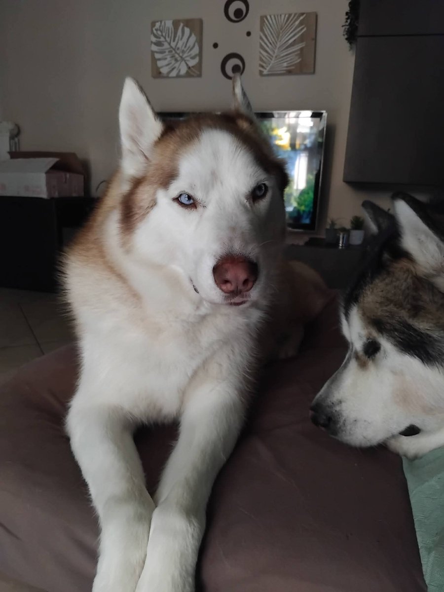 Patrizia💙 tweet media