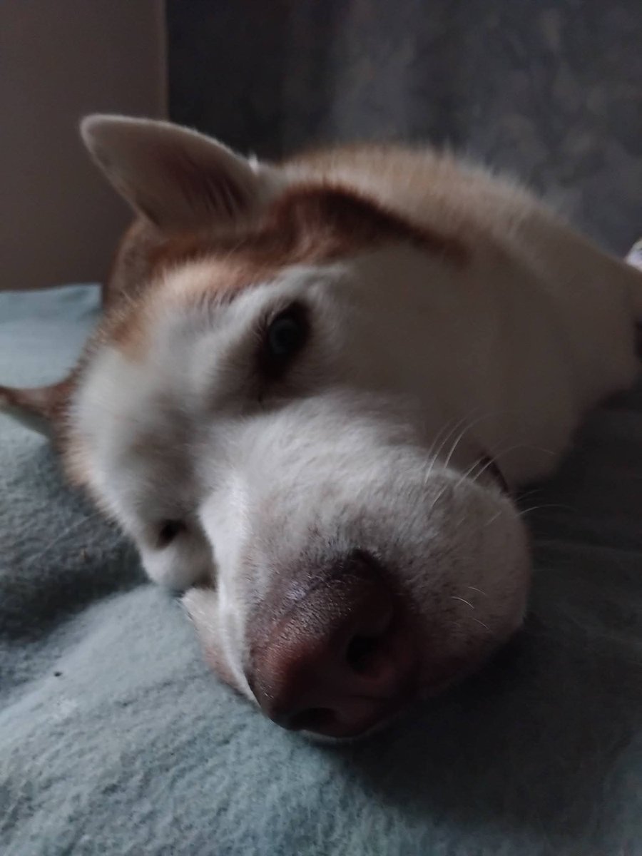 Patrizia💙 tweet media