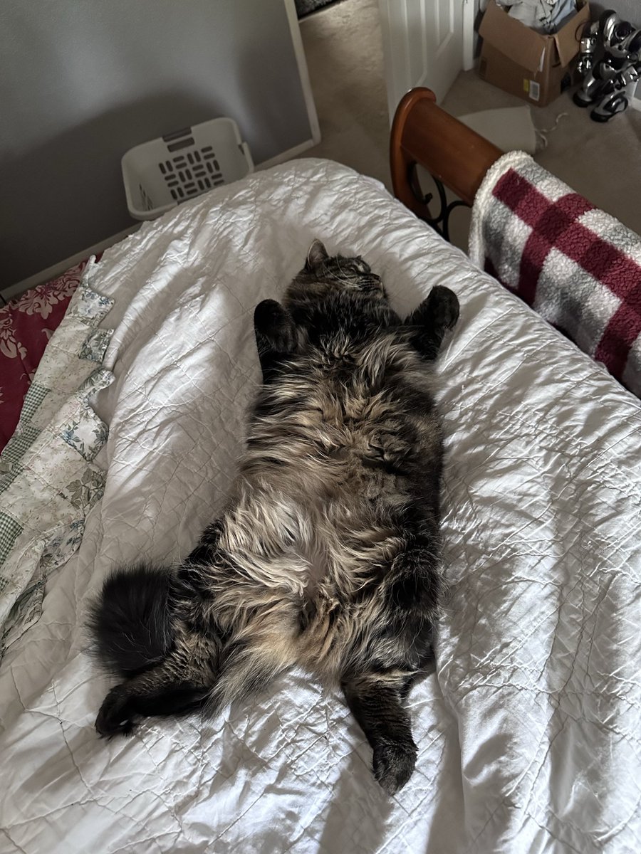 Mark McDaniel tweet media