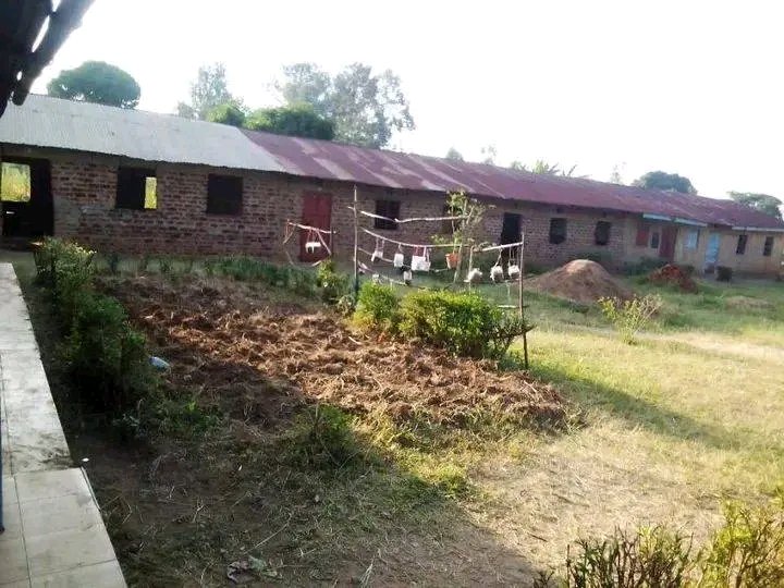 Willis Evans Otieno tweet media