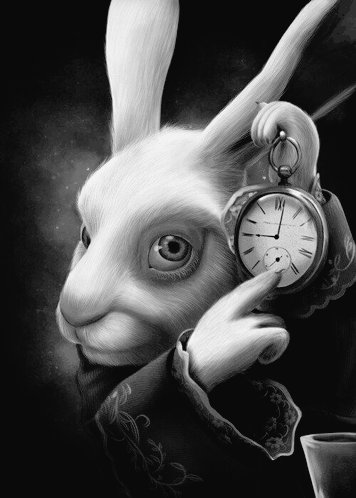 ₴ł₦₳₮₳ tweet media