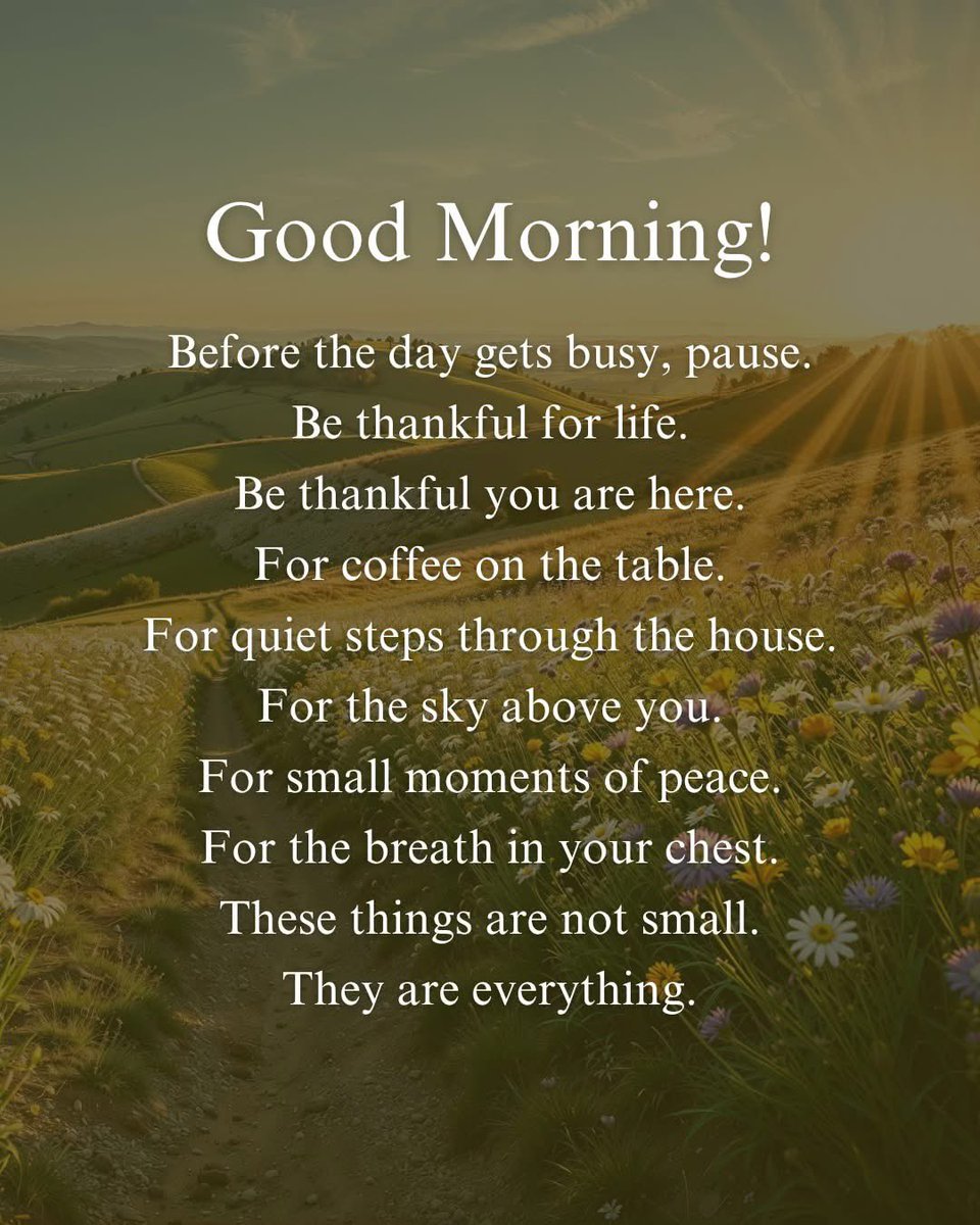 KimZandboer's tweet image. Happy Tuesday 💕

#Grateful 
#Gratitude