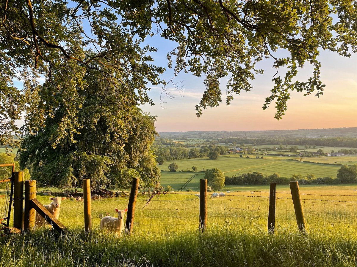 The South Downs showing off again.

📸: Thomas Carpenter