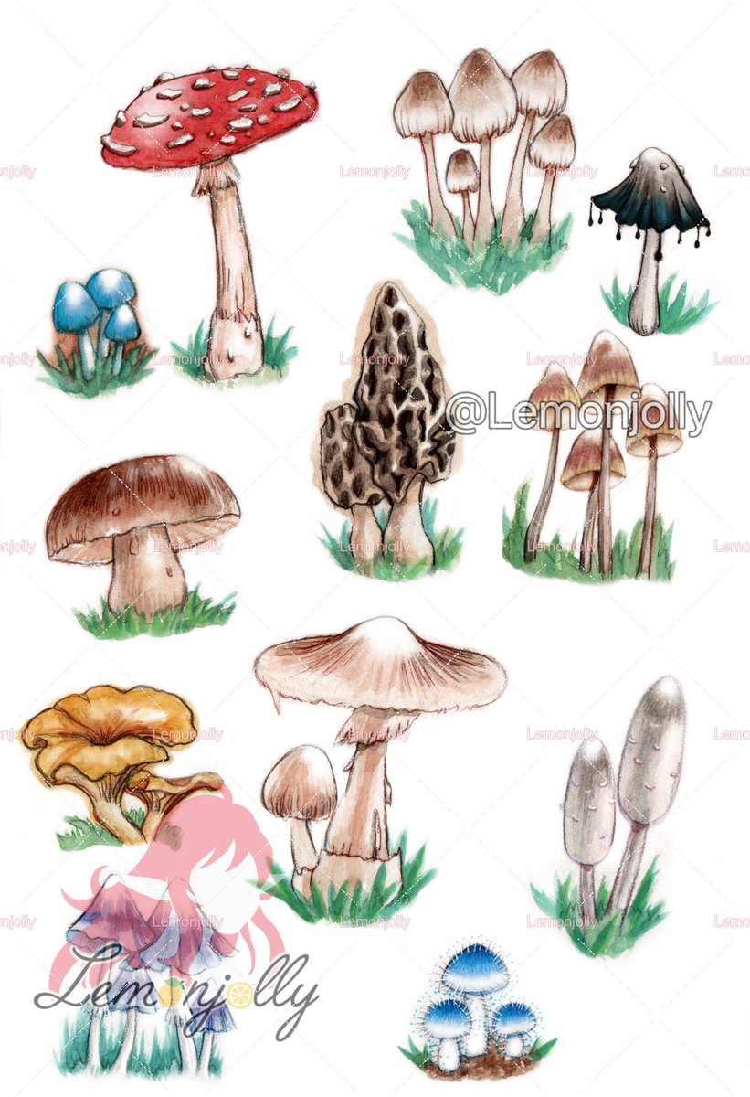 lemonjolly's tweet photo. Putting these 2 watercolor art into stickers and tshirts!

They will be in my Etsy whenever they’re ready  and I can’t waaaaait!!!
#lemonjollyart 
#watercolor https://t.co/oewS7dxEK1