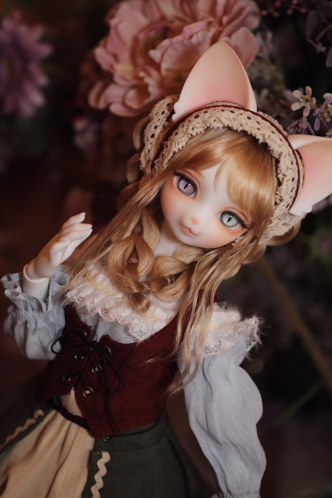 ｱﾝｼﾞｪﾗｻﾝ🐱