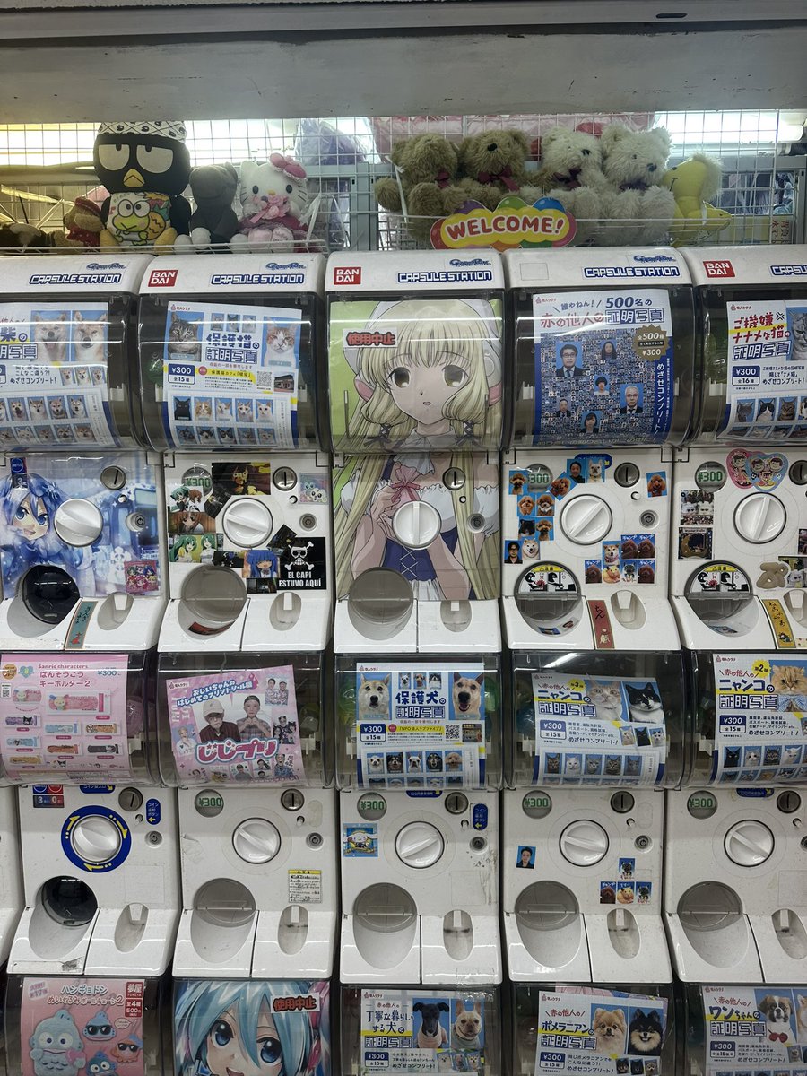 椎名フラウ tweet media